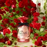 Picture of Dolce & Gabbana Rose