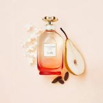 Picture of Coach Dream Sunset