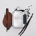 Picture of Coach Platinum