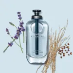 Picture of Coach Open Road