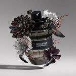 Picture of Viktor & Rolf Spicebomb