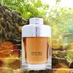 Picture of Bentley Intense