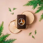 Picture of Mercedes Benz Private