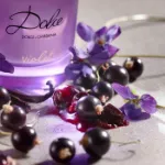 Picture of D&G Dolce Violet