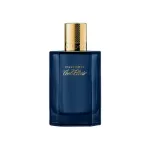 Picture of Davidoff Cool Elixir Oud Aromatic
